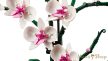 LEGO Icons - Orchidea