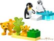 LEGO® DUPLO® - Állatcsaládok a vadvilágban: Pingvinek és oroszlánok (10442)