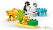 LEGO® DUPLO® - Állatcsaládok a vadvilágban: Pingvinek és oroszlánok (10442)