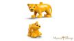 LEGO® DUPLO® - Állatcsaládok a vadvilágban: Pingvinek és oroszlánok (10442)