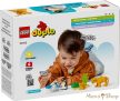 LEGO® DUPLO® - Állatcsaládok a vadvilágban: Pingvinek és oroszlánok (10442)