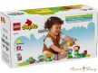 LEGO® DUPLO® - Kreatív kert és virágok (10444)