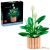 LEGO® Botanicals - Vitorlavirág (11504)