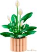 LEGO® Botanicals - Vitorlavirág (11504)