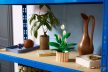 LEGO® Botanicals - Vitorlavirág (11504)