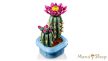 LEGO® Botanicals - Virágzó kaktusz (11509)