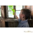 HABA Terra Kids - Rovarvadász készlet