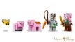 LEGO® Minecraft® - A kismalac háza (21268)