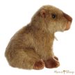 Aurora® - Miyoni® - 23 cm Capybara Plüss