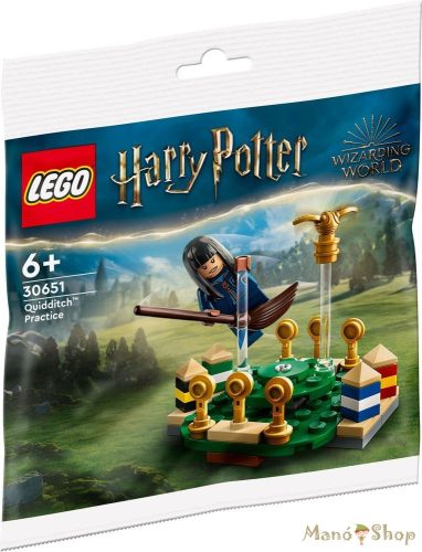 LEGO Harry Potter - Kviddics edzés