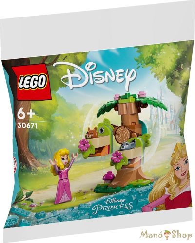 LEGO® Disney™ - Csipkerózsika erdei játszótere 30671