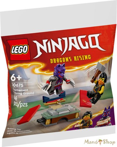 LEGO® NINJAGO® - A bajnokok gyakorlótere 30675