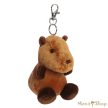 Aurora Palm Pals: Sid, a kapibara plüss kulcstartó – 11 cm