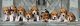Clementoni - Panoráma Puzzle - Beagle kiskutyák 1000 db-os Puzzle