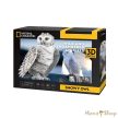 Cubic Fun - 3D Puzzle National Geographic - Hóbagoly