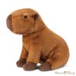 Aurora Borealis: Ralph, a kapibara plüss – 20 cm