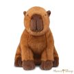 Aurora Borealis: Ralph, a kapibara plüss – 20 cm