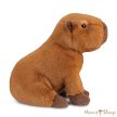Aurora Borealis: Ralph, a kapibara plüss – 20 cm