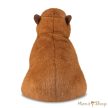 Aurora Borealis: Ralph, a kapibara plüss – 20 cm