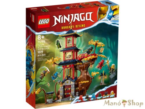  LEGO® NINJAGO® - A Sárkány Energiamagok temploma 71795