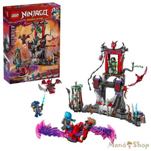 LEGO® NINJAGO® - Dragoniai viharfalu (71841)