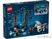 LEGO® Harry Potter™ - A Tiltott Rengeteg: Varázslatos lények (76432)