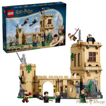   LEGO® Harry Potter™ - Roxfort kastély: Repülésórák (76447)