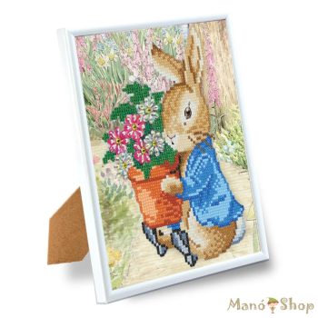   Craft Buddy - Gyémántszemes kirakó 21*25 cm kerettel - Nyúl Péter - Crystal Art