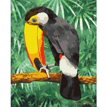 IDEYKA - Számfestő 40x50 - Tukán