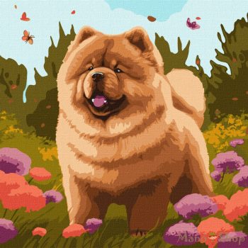 IDEYKA - Számfestő 40x40 - Bájos csaucsau